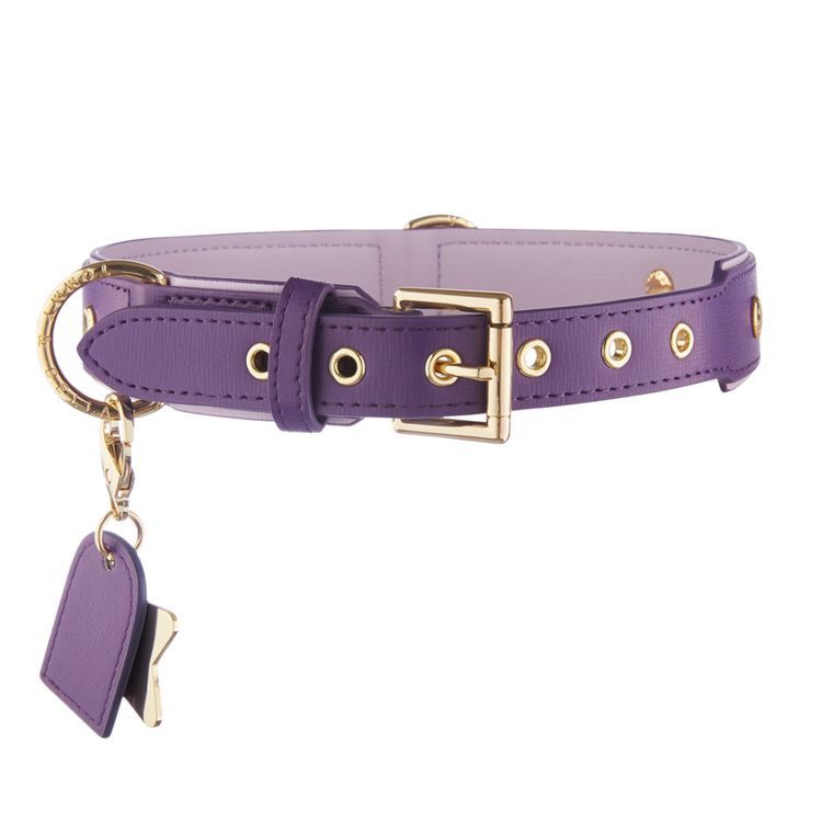 Luxury Deep Purple Vegan Leather Dog Collar - Gold Edition with ID Tag